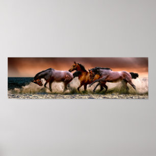 Poster Chevaux courir dans le Surf