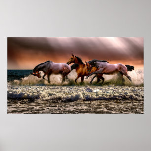 Poster Chevaux courir dans le Surf