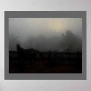 Poster Chevaux dans le brouillard