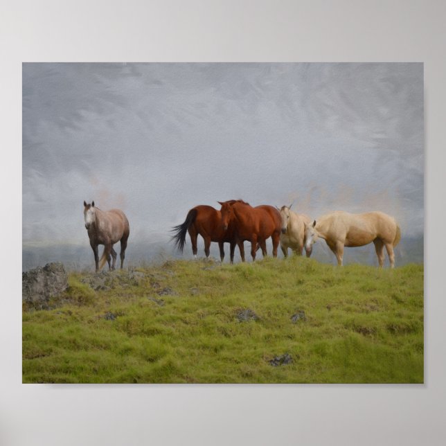 Poster Chevaux dans le pâturage (Devant)