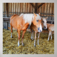 Chevaux dans une écurie