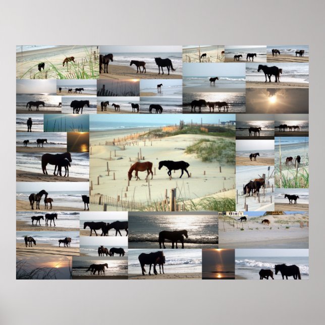 Poster Chevaux de Carova (Devant)