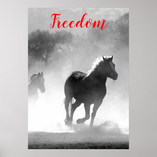 Poster Chevaux de course blanc noir de liberté (Devant)