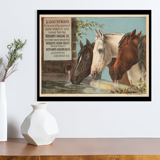 Poster Chevaux de ferme Ephémère de la publicité de l'eau (Créateur téléchargé)