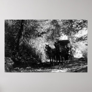Poster Chevaux de fret faisant une pause