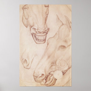 Poster Chevaux, de l'Album Vallardi