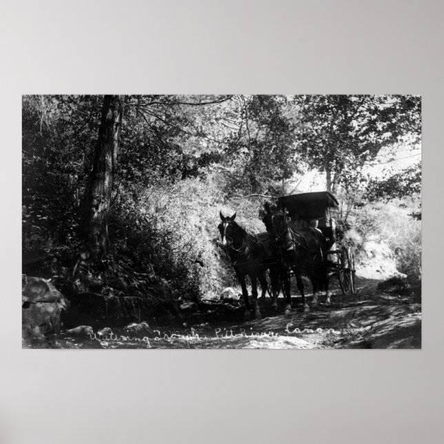 Poster Chevaux de transport en panne (Devant)
