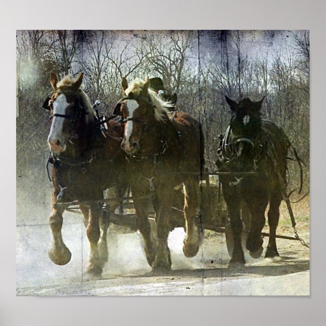 Poster Chevaux de travail (Devant)