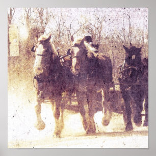 Poster Chevaux de travail Amish en Iowa
