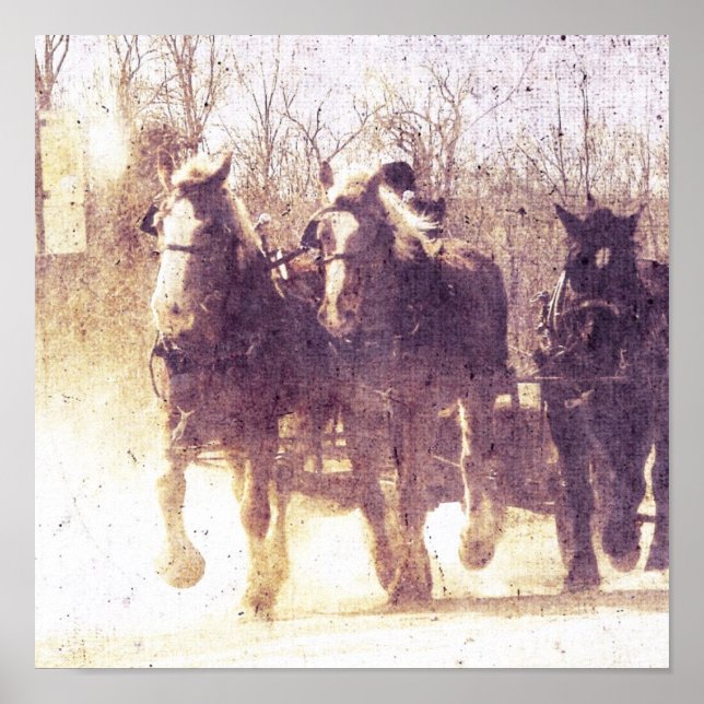 Poster Chevaux de travail Amish en Iowa (Devant)