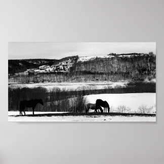 Poster Chevaux de Vallée