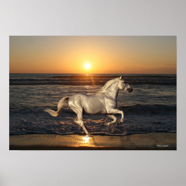 Poster Chevaux d'Imaginaire : Coucher de soleil (Devant)