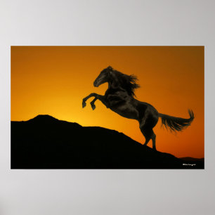 Poster Chevaux d'imaginaire : Coucher du soleil de