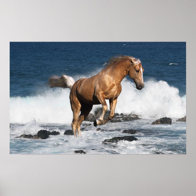 Poster Chevaux d'Imaginaire : Été (Devant)