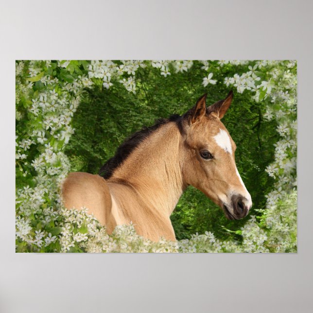 Poster Chevaux d'Imaginaire : Fleurs (Devant)