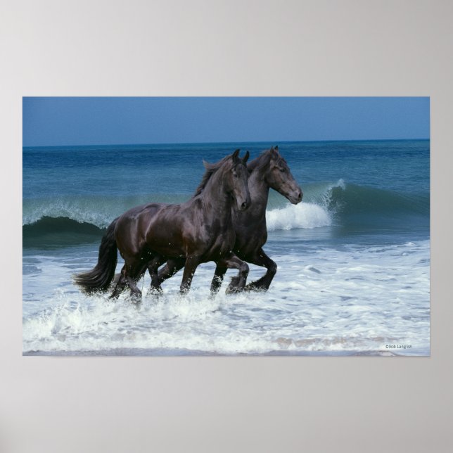 Poster Chevaux d'Imaginaire : Friesians & Sea (Devant)