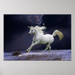 Poster Chevaux d'imaginaire : Licorne