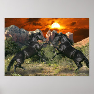 Poster Chevaux d'Imaginaire : Magie noire