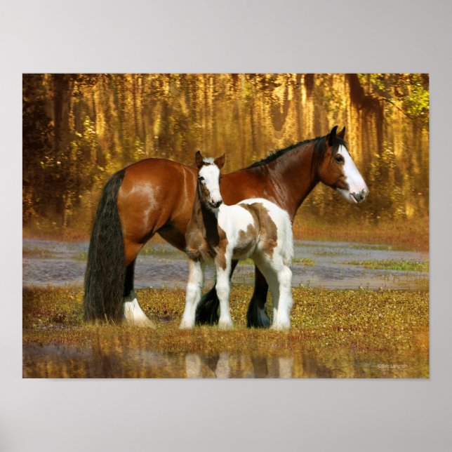 Poster Chevaux d'Imaginaire : Mare & Foal (Devant)