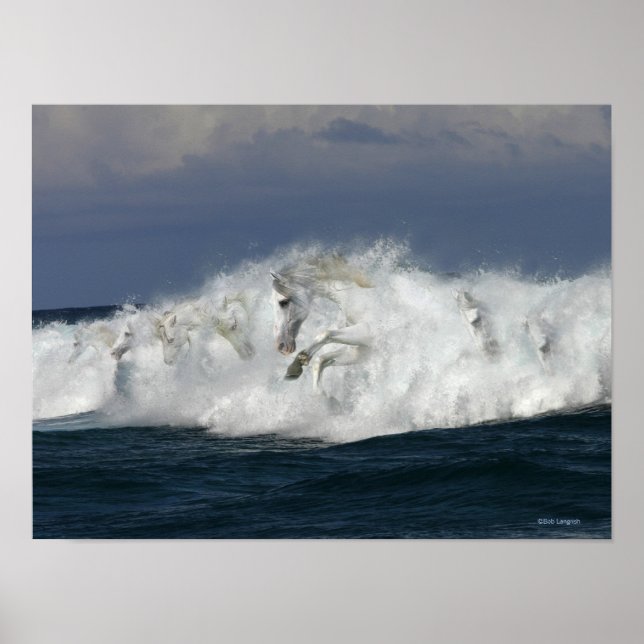 Poster Chevaux d'Imaginaire : Mer (Devant)