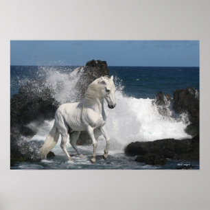 Poster Chevaux d'Imaginaire : Mer du Sud