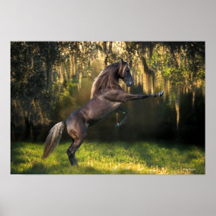 Poster Chevaux d'Imaginaire : Prince Guerrier