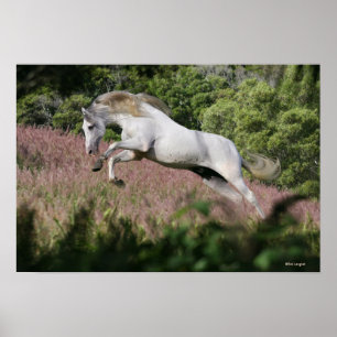 Poster Chevaux d'Imaginaire : Spring Gallop