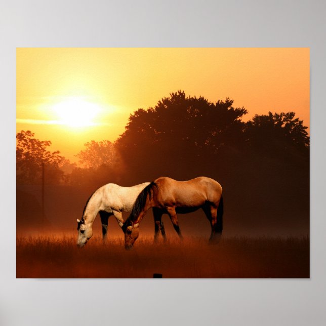 Poster Chevaux du lever du soleil (Devant)