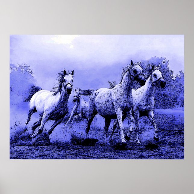 Poster Chevaux en Bleu Night (Devant)