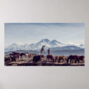POSTER CHEVAUX EN CHAMP BROWN OUVERT VUE MONTAGNE LE JOUR