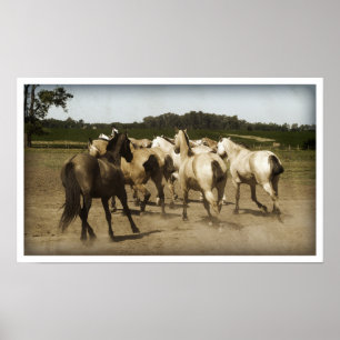 Poster Chevaux en marche