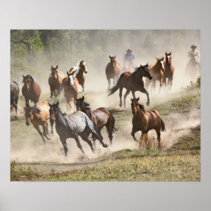 Poster Chevaux en rafle, Montana