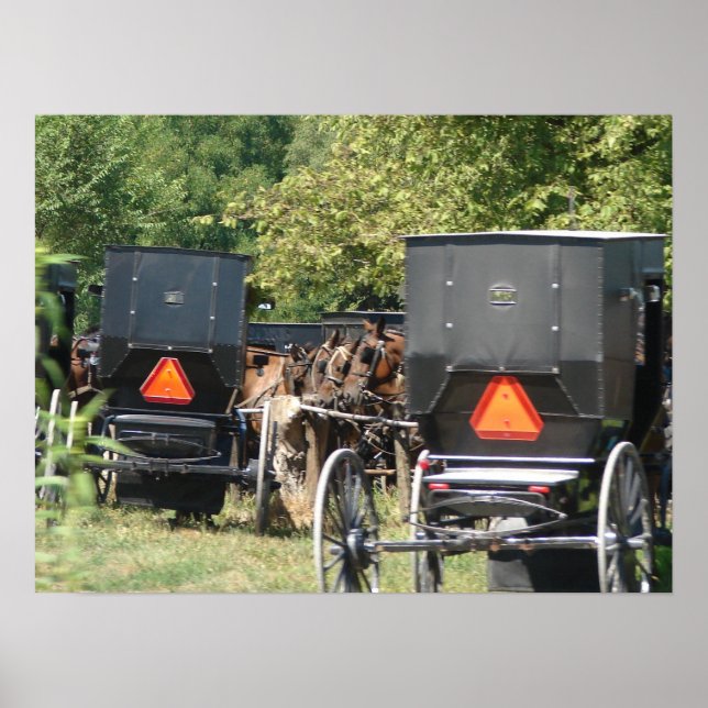 Poster Chevaux et buggies Amish (Devant)