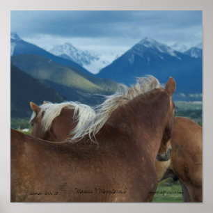 Poster chevaux et montagnes imprimés de toile