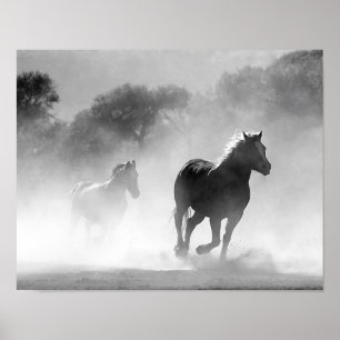 Poster Chevaux fonctionnant dans le brouillard noir et