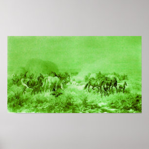 Poster CHEVAUX GRAZER Vierge Vert