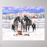 Chevaux Grulla Grey Appaloosa Sur Une Ferme À Neig