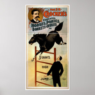 Poster Chevaux instruits, poneys, ânes et Mules