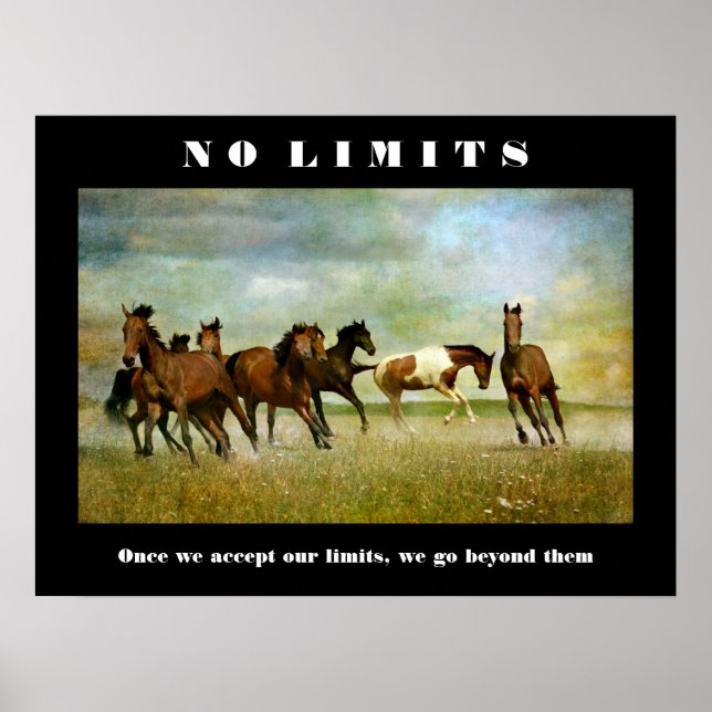 Poster Chevaux Motivationnel Inspirationnel Sans Limite C (Devant)
