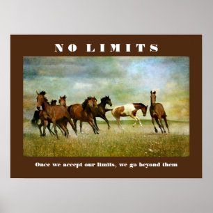 Poster Chevaux Motivationnel Inspirationnel Sans Limite C