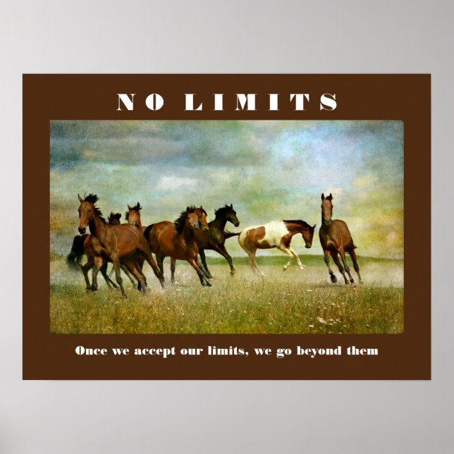 Poster Chevaux Motivationnel Inspirationnel Sans Limite C (Devant)