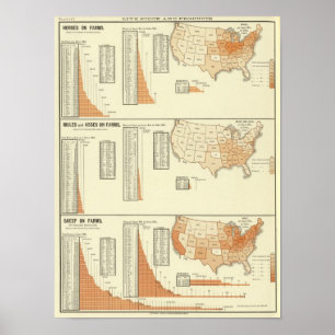 Poster Chevaux, mules, ânes, moutons