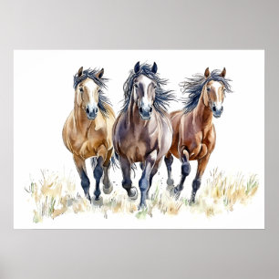 Poster Chevaux mustangs sauvages et libres de l'Ouest