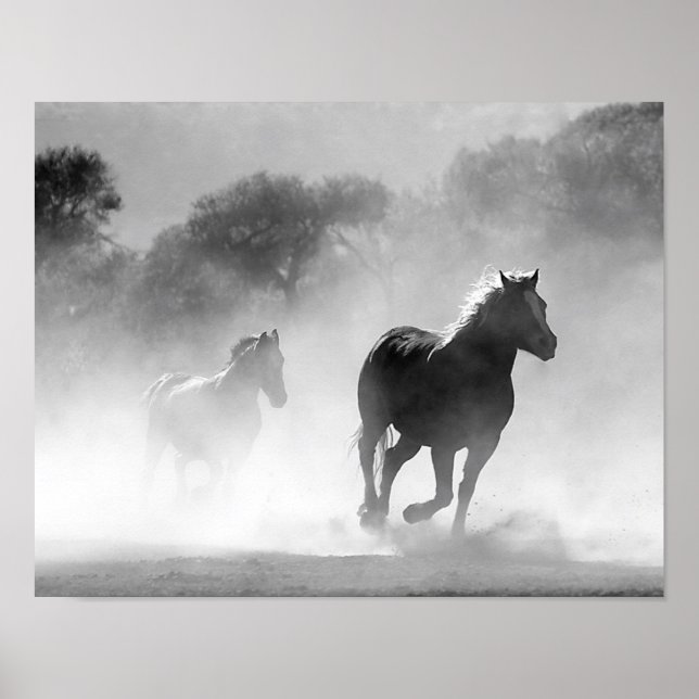 Poster Chevaux qui courent dans le brouillard noir et bla (Devant)