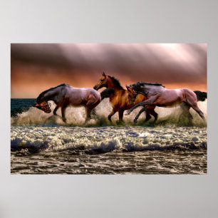 Poster Chevaux sauvages