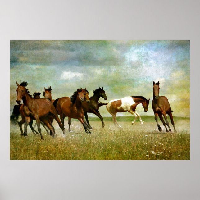 Poster Chevaux sauvages - Art créatif Vintage (Devant)