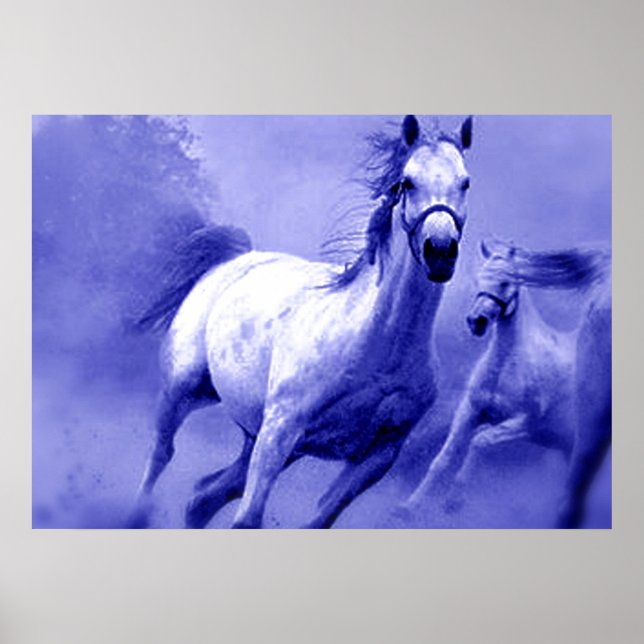 Poster Chevaux sauvages bleus Motivation (Devant)