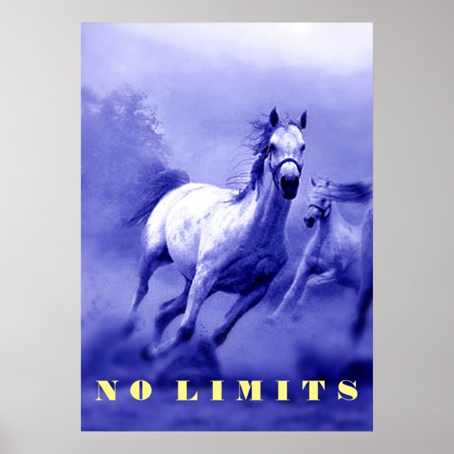 Poster Chevaux Sauvages Bleus Motivation Sans Limitation (Devant)