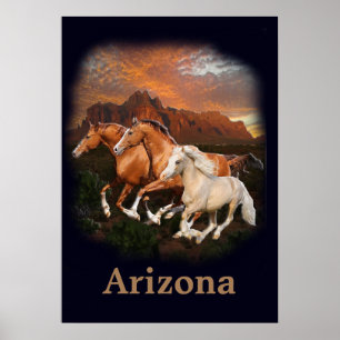 Poster Chevaux sauvages d'Arizona 