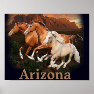 Poster Chevaux sauvages d'Arizona